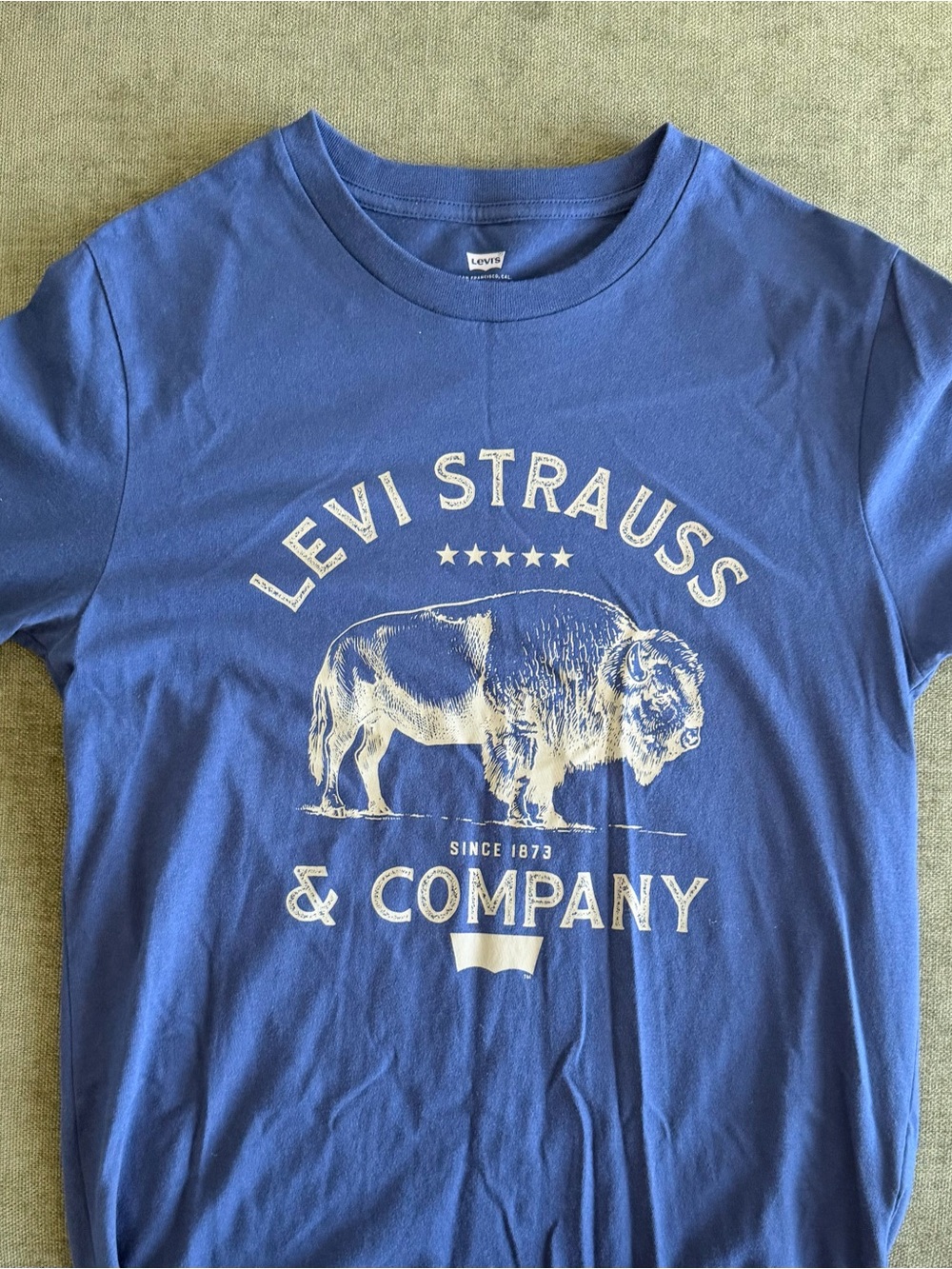 Levi's Blue Graphic Buffalo Tee
